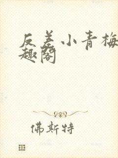 反差小青梅 笔趣阁