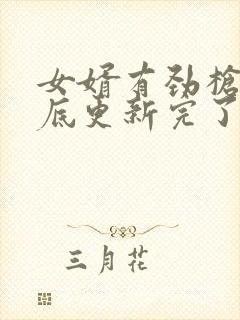 女婿有劲枪枪到底更新完了吗封面