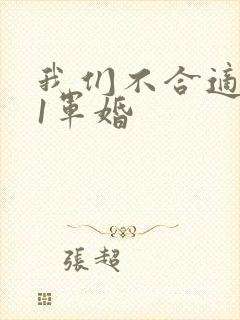 我们不合适1v1军婚