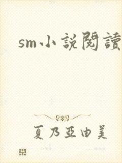 sm小说阅读