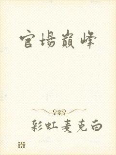 官场巅峰