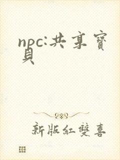 npc:共享宝贝