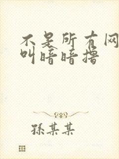 不是所有网站都叫暗暗撸