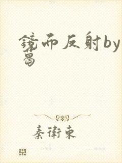 镜面反射by九葛