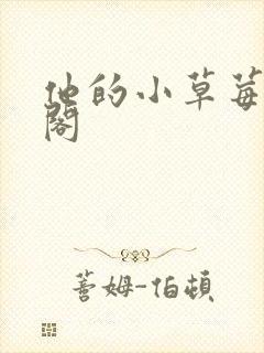 他的小草莓笔趣阁