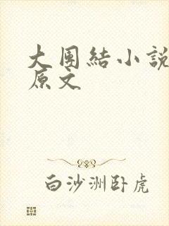 大团结小说阅读原文封面