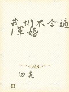 我们不合适1v1军婚