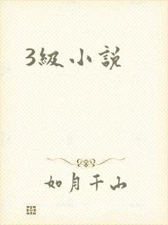 3级小说