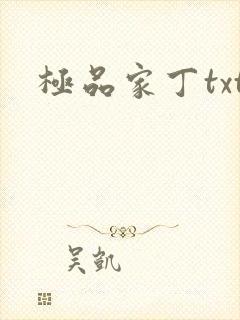 极品家丁txt封面