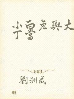 小白兔与大灰狼丁当