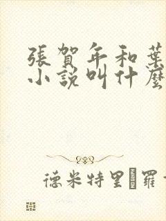 张贺年和叶繁姿小说叫什么名字