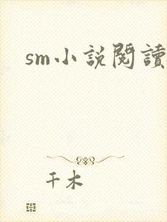 sm小说阅读