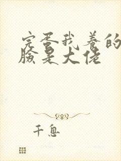 完蛋我养的小白脸是大佬