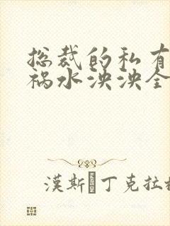 总裁的私有宝贝祸水泱泱全文阅读