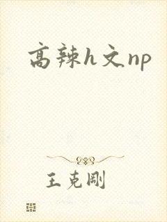 高辣h文np
