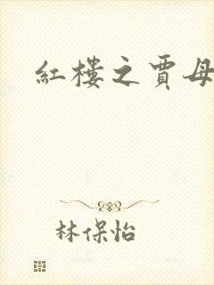 红楼之贾母封面