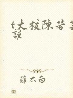 t大校陈若芸小说