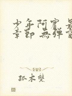 少年阿宾 最新章节 无弹窗