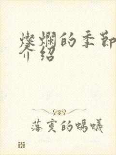 灿烂的季节剧情介绍封面