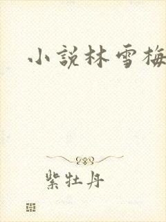 小说林雪梅