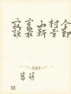 寂寞山村全部小说最新章节