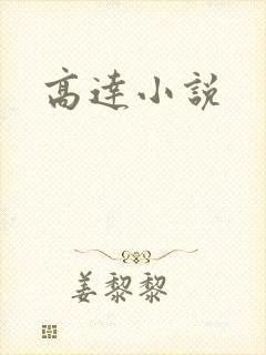 高达小说封面