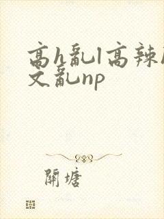 高h乱l高辣h文乱np