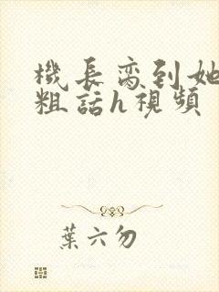 机长脔到她哭h粗话h视频