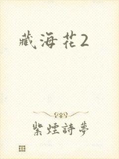藏海花2封面