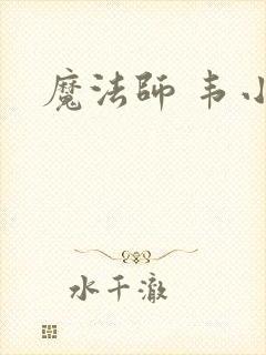 魔法师 韦小宝