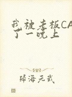 我被老板CAO了一晚上