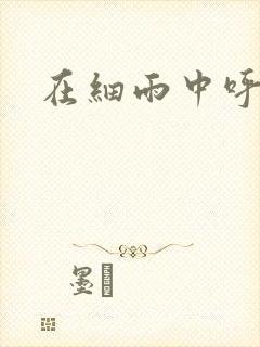 在细雨中呼喊