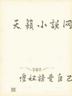 天籁小说网封面