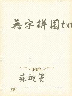 无字拼图txt封面