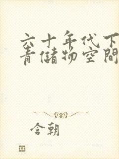 六十年代下乡知青储物空间