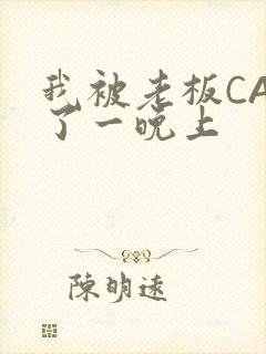 我被老板CAO了一晚上