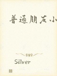 普通朋友小说