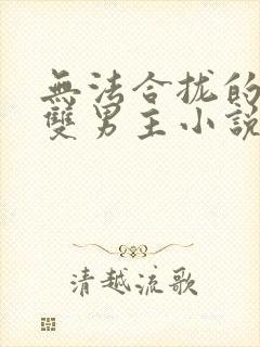 无法合拢的总裁双男主小说