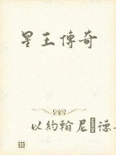 星王传奇