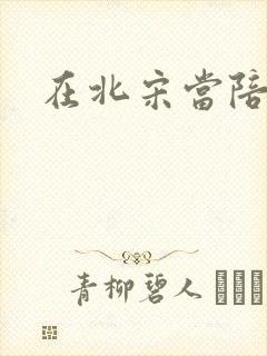 在北宋当陪房封面