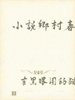 小说乡村春光