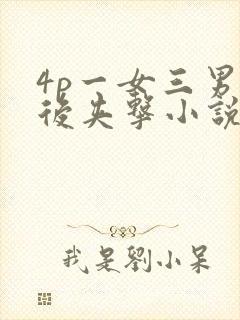 4p一女三男前后夹击小说封面