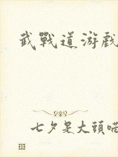 武战道游戏