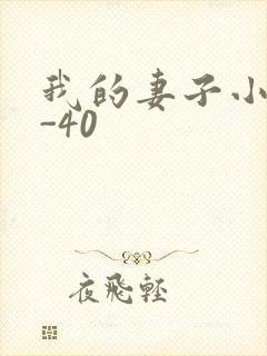 我的妻子小谨1-40