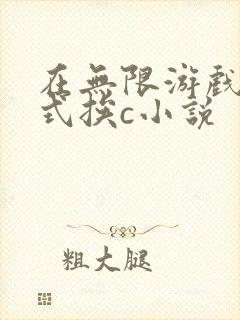 在无限游戏里花式挨c小说封面
