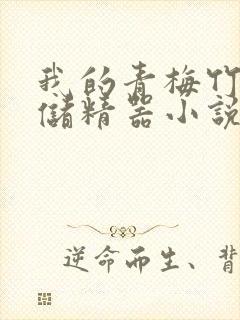 我的青梅竹马是储精器小说