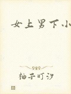 女上男下小说