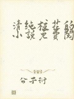 清纯校花的秘密小说免费阅读