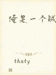 俺是一个贼