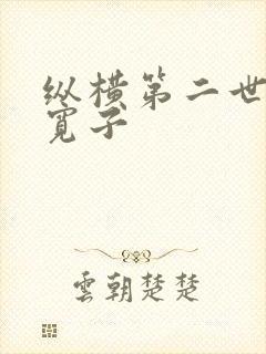 纵横第二世界 宽子